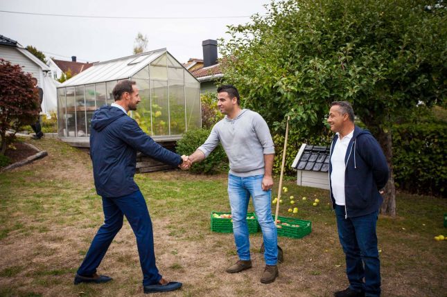 H_MM_Horten_fruits_4