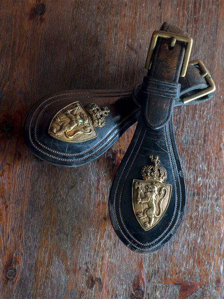 S_expo_cheval_12_10_2017_12