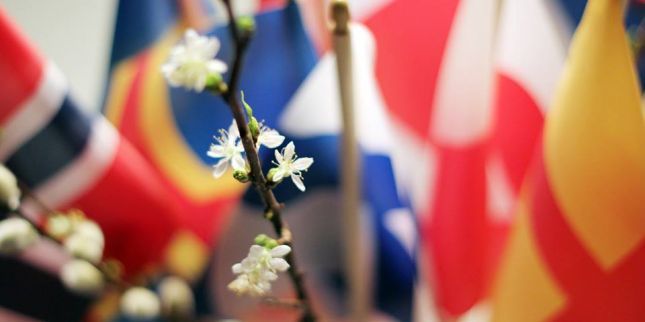 le_conseil_nordique_1